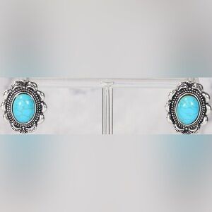 Ambers Allie Turquoise Colored Concho Stud Earrings